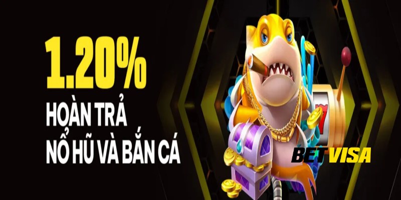Các loại hoàn trả phổ biến tại Betvisa