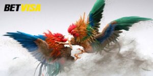 Những lợi ích khi tham gia đá gà trực tuyến tại Betvisa