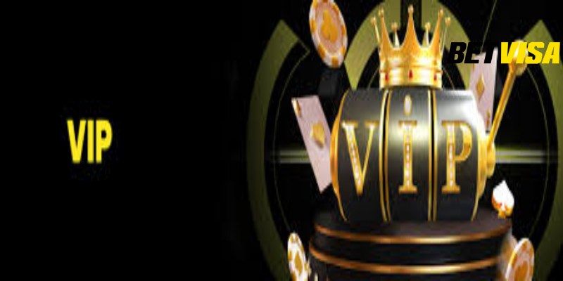 Quyền lợi chung của các cấp độ VIP tại Betvisa