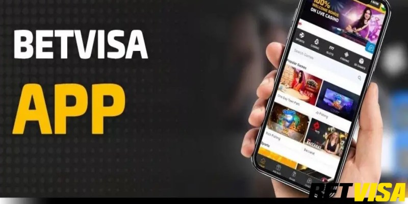Tổng quan về giao diện app Betvisa