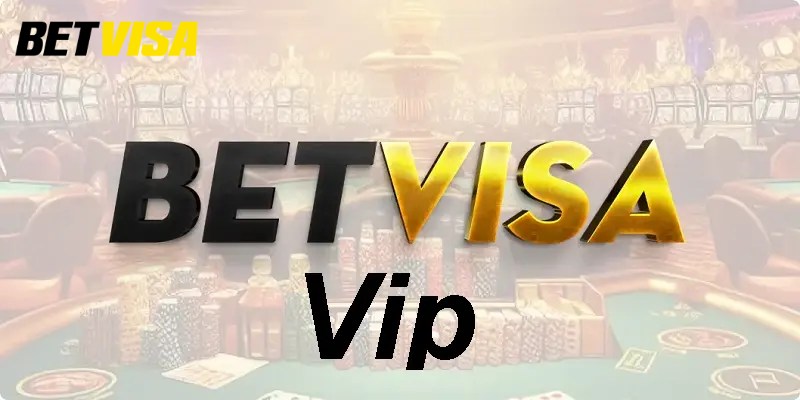 Tổng quan về hệ thống VIP tại Betvisa